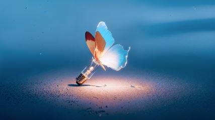 A butterfly shown landing on a lightbulb filament