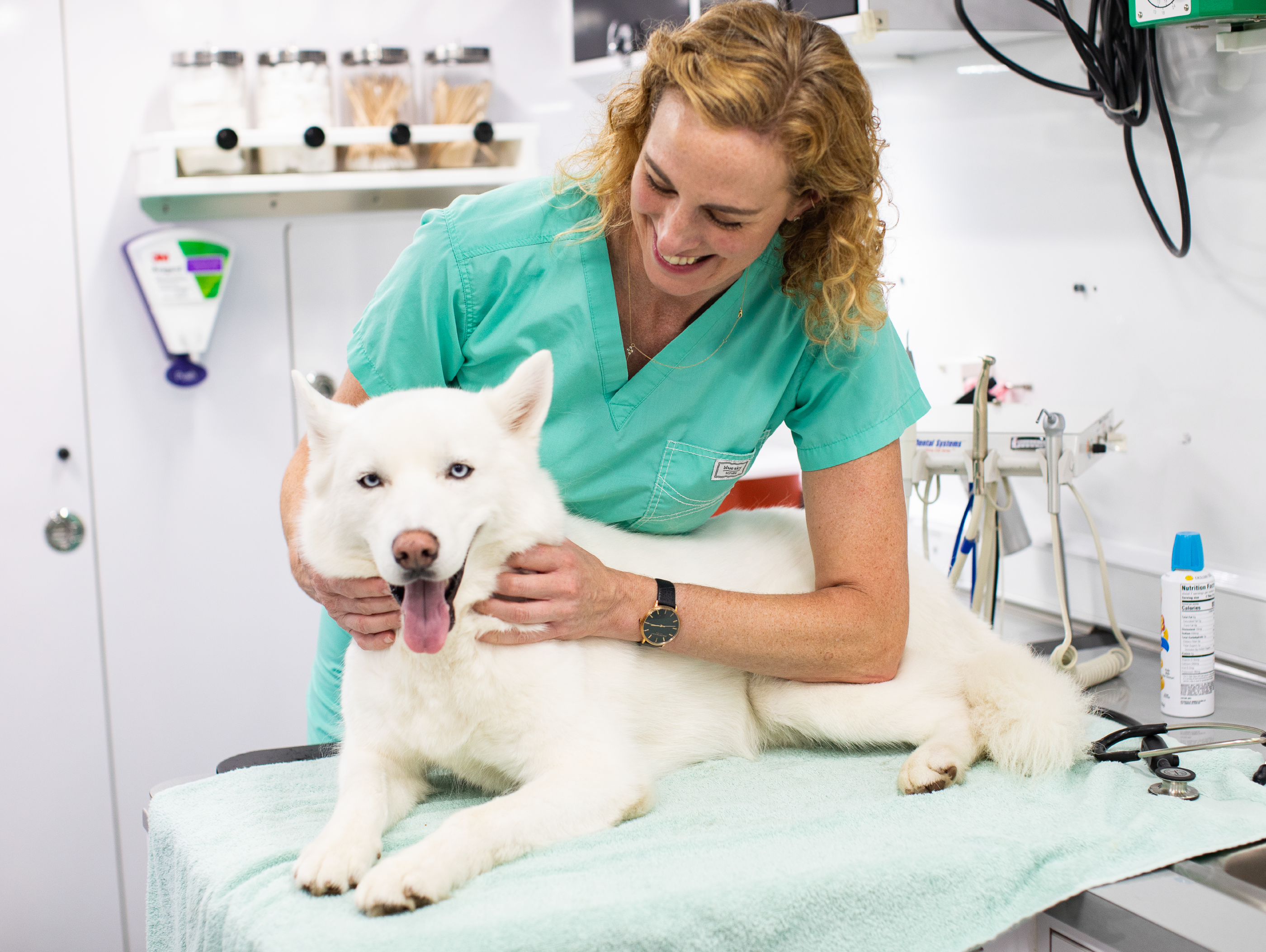 Woman in scrubs with white dog inside Rockin' Pets Rollin' Vets van.