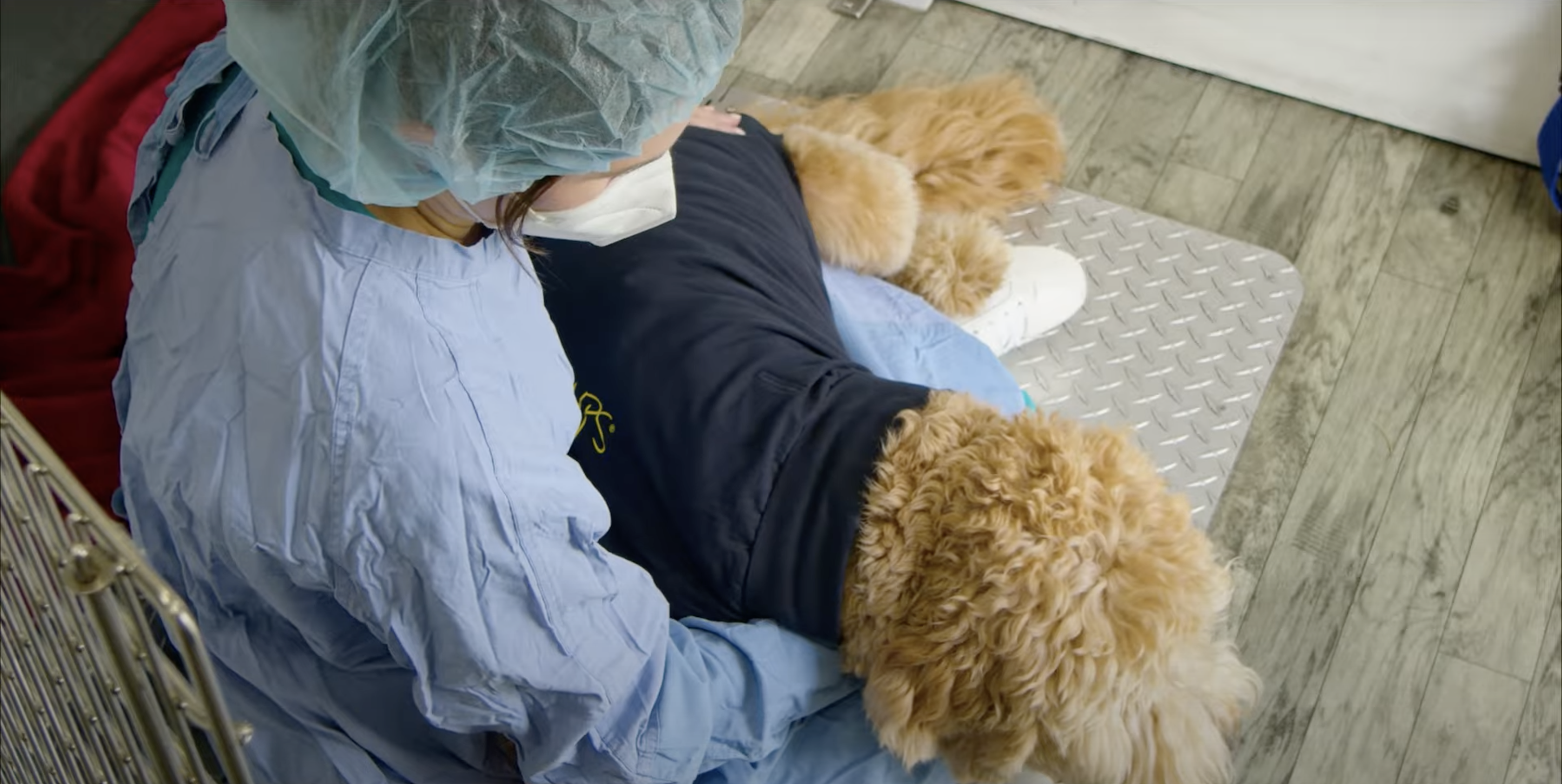 Image of woman in nurse scrubs holding a fluffy brown dog.